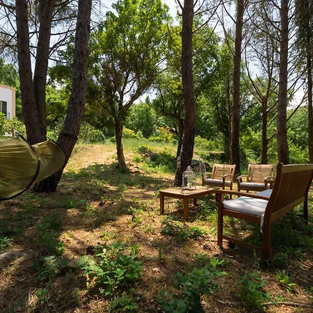 Apartament Chiara - Luxury - *